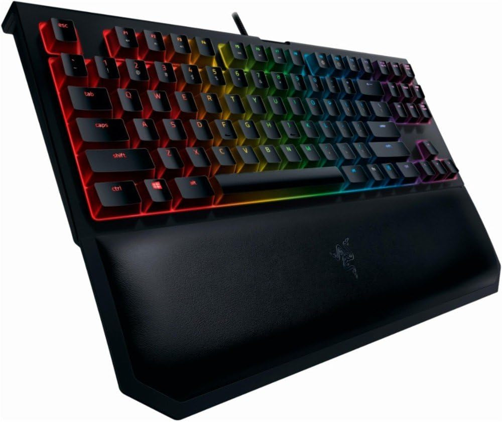 Blackwidow TE Chroma V2 TKL Tenkeyless Mechanical Gaming Keyboard: Orange Key Switches, Tactile & Silent, Chroma RGB Lighting, Magnetic Wrist Rest, Programmable Macros, Classic Black