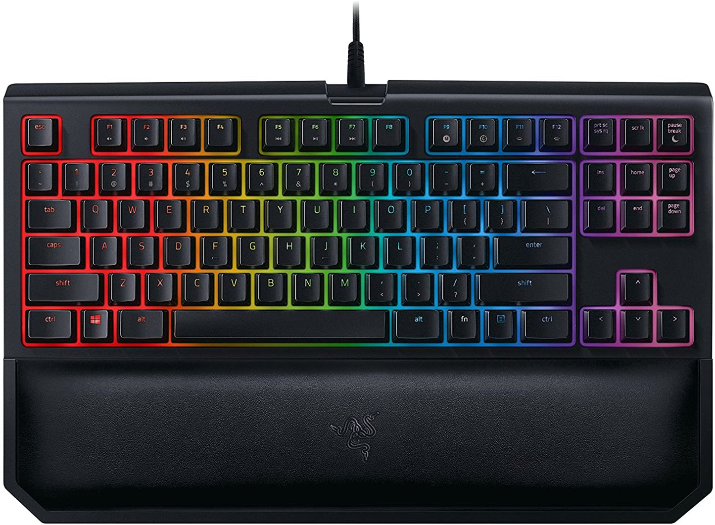 Blackwidow TE Chroma V2 TKL Tenkeyless Mechanical Gaming Keyboard: Orange Key Switches, Tactile & Silent, Chroma RGB Lighting, Magnetic Wrist Rest, Programmable Macros, Classic Black