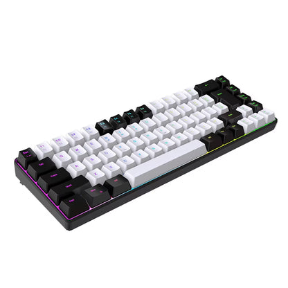 Gaming Keyboard 68 Keys Wired Computer Keyboard with RGB Backlight Keyboard for PC Laptop Gamer